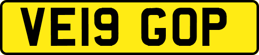 VE19GOP