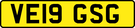 VE19GSG