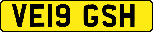 VE19GSH