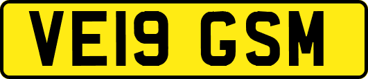VE19GSM