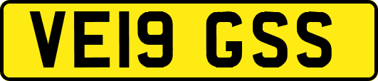 VE19GSS