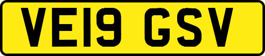 VE19GSV