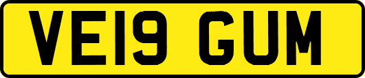 VE19GUM