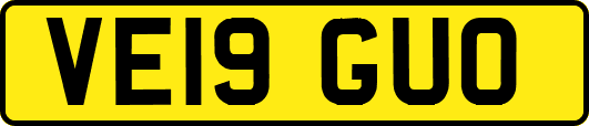 VE19GUO