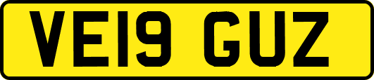 VE19GUZ