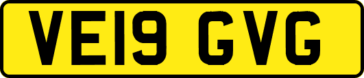 VE19GVG