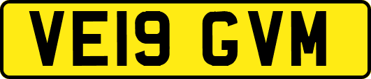 VE19GVM