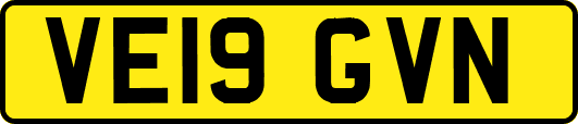 VE19GVN