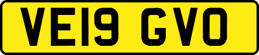 VE19GVO