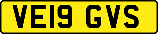 VE19GVS