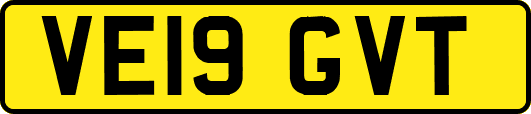 VE19GVT