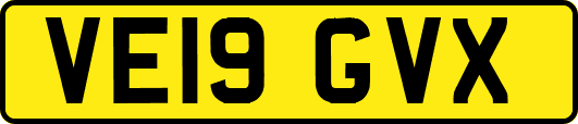 VE19GVX