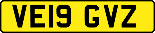 VE19GVZ