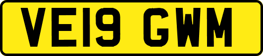 VE19GWM
