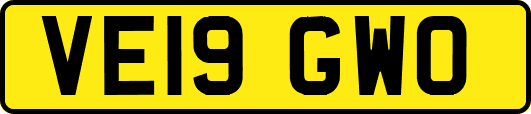 VE19GWO