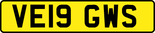 VE19GWS