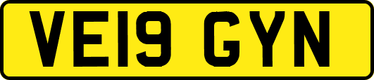 VE19GYN