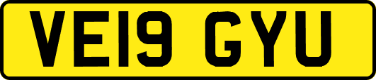 VE19GYU