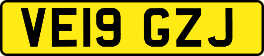 VE19GZJ