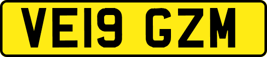 VE19GZM