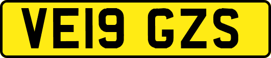 VE19GZS
