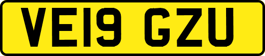 VE19GZU