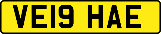 VE19HAE