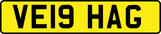 VE19HAG