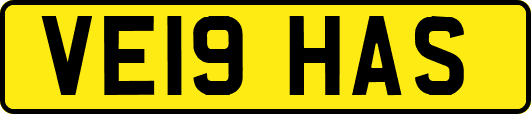 VE19HAS