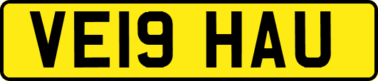 VE19HAU