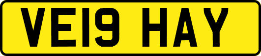 VE19HAY