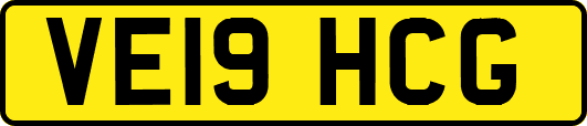 VE19HCG