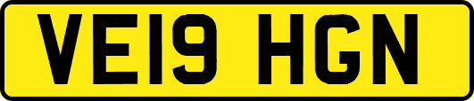 VE19HGN
