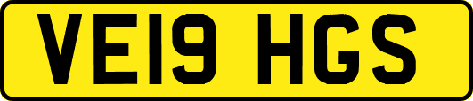 VE19HGS
