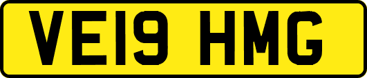 VE19HMG