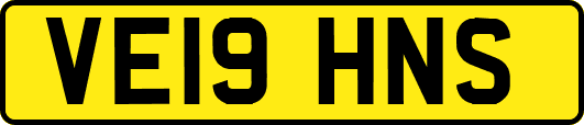 VE19HNS