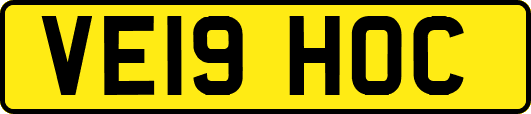 VE19HOC