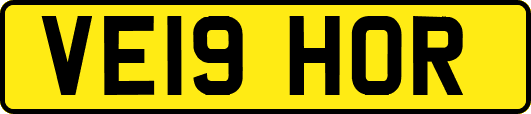 VE19HOR