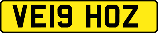 VE19HOZ