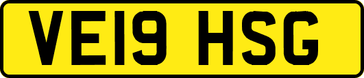 VE19HSG