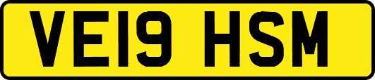 VE19HSM