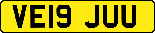 VE19JUU