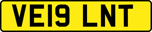 VE19LNT