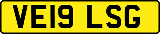 VE19LSG