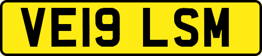 VE19LSM