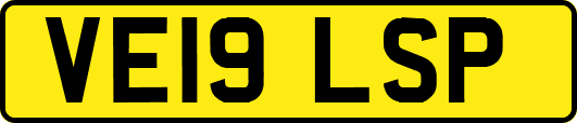 VE19LSP