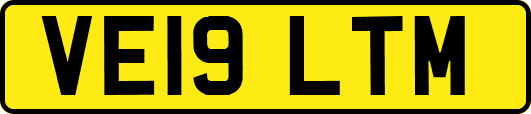 VE19LTM