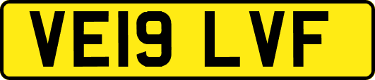 VE19LVF