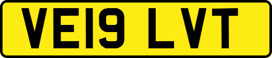 VE19LVT