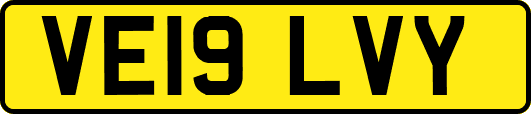 VE19LVY